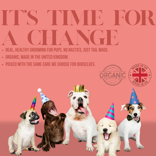 All Natural & Organic Hemp Seed Oil Dog Shampoo 300 ml