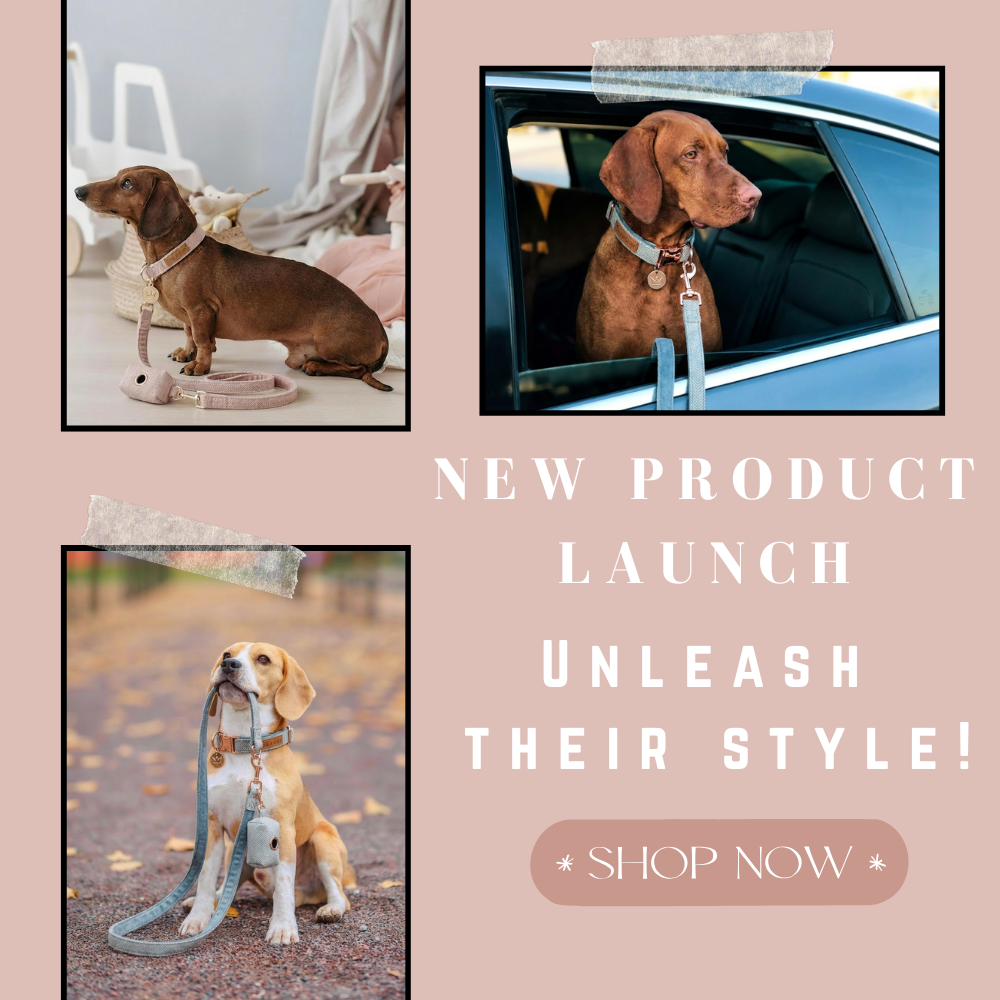 Royal Pet Accessories