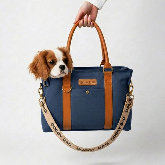 Stylish Dog Bag - Blue