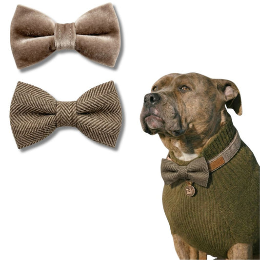 Brown Tweed and Velvet Bow Set