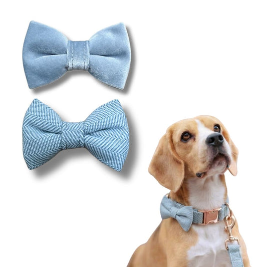 Blue Tweed and Velvet Bow Set