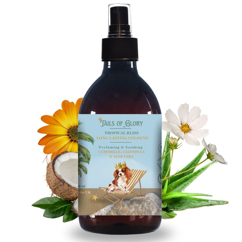 Eau de Cologne 100% naturelle pour chiens « Coco Bliss » 300ml