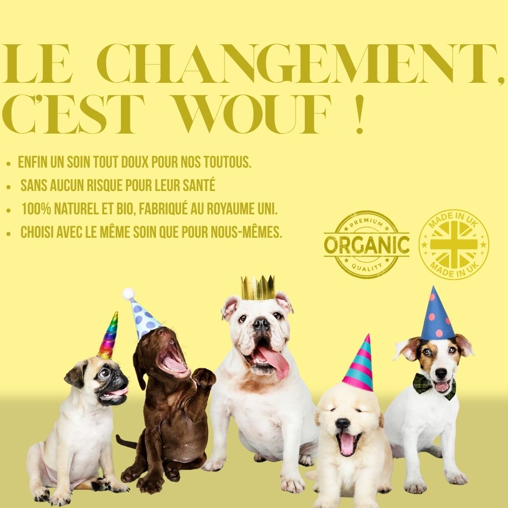 Baume botanique bio pour chiens au chanvre naturel 100ml