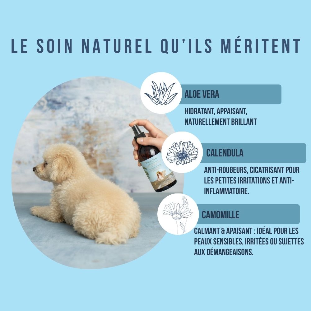 Eau de Cologne 100% naturelle pour chiens « Coco Bliss » 300ml
