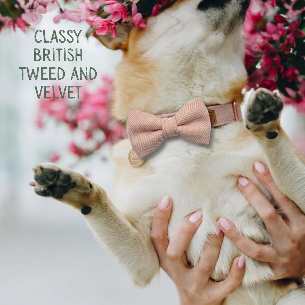 Pink Tweed and Velvet Bow Set