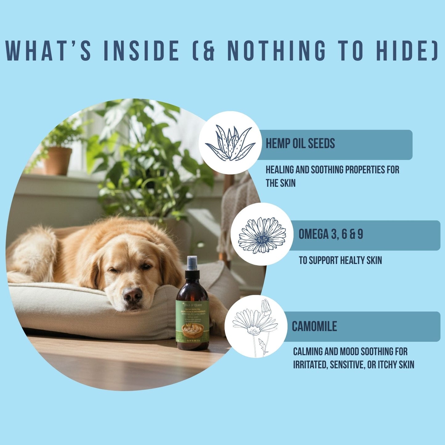 Hemp Soothe & Shine Trio