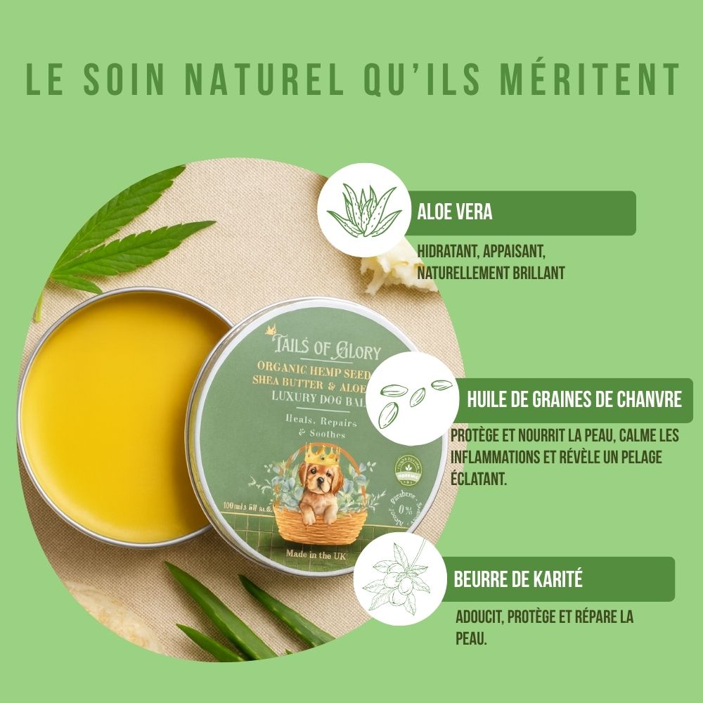 Baume botanique bio pour chiens au chanvre naturel 100ml
