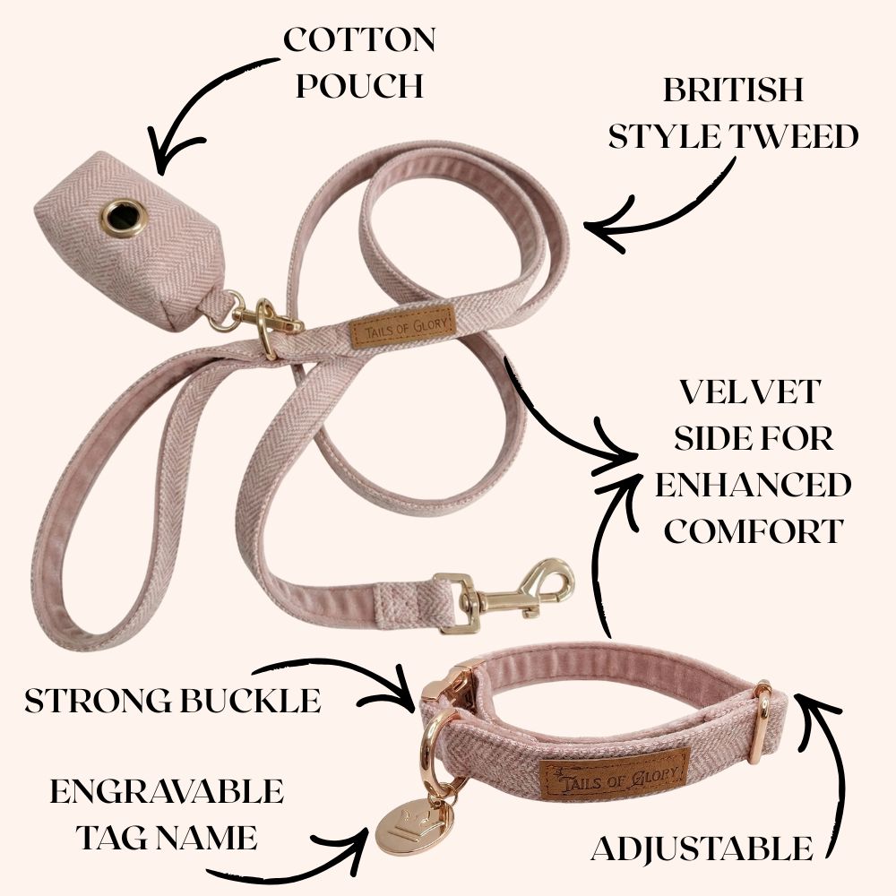 Dog Collar, Pouch and Lead Set - Pink Tweed & Velvet