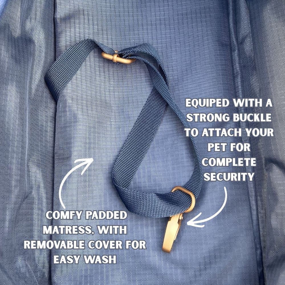 Stylish Dog Bag - Blue