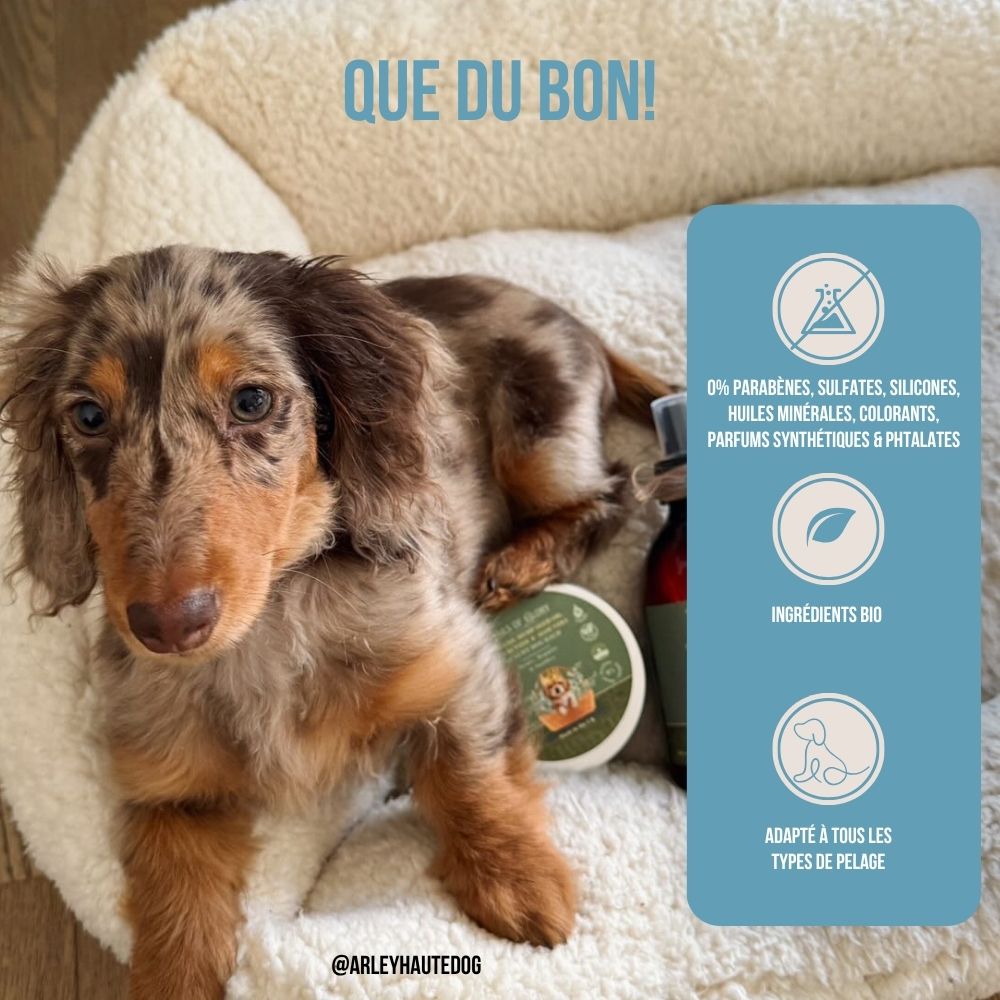Baume botanique bio pour chiens au chanvre naturel 100ml