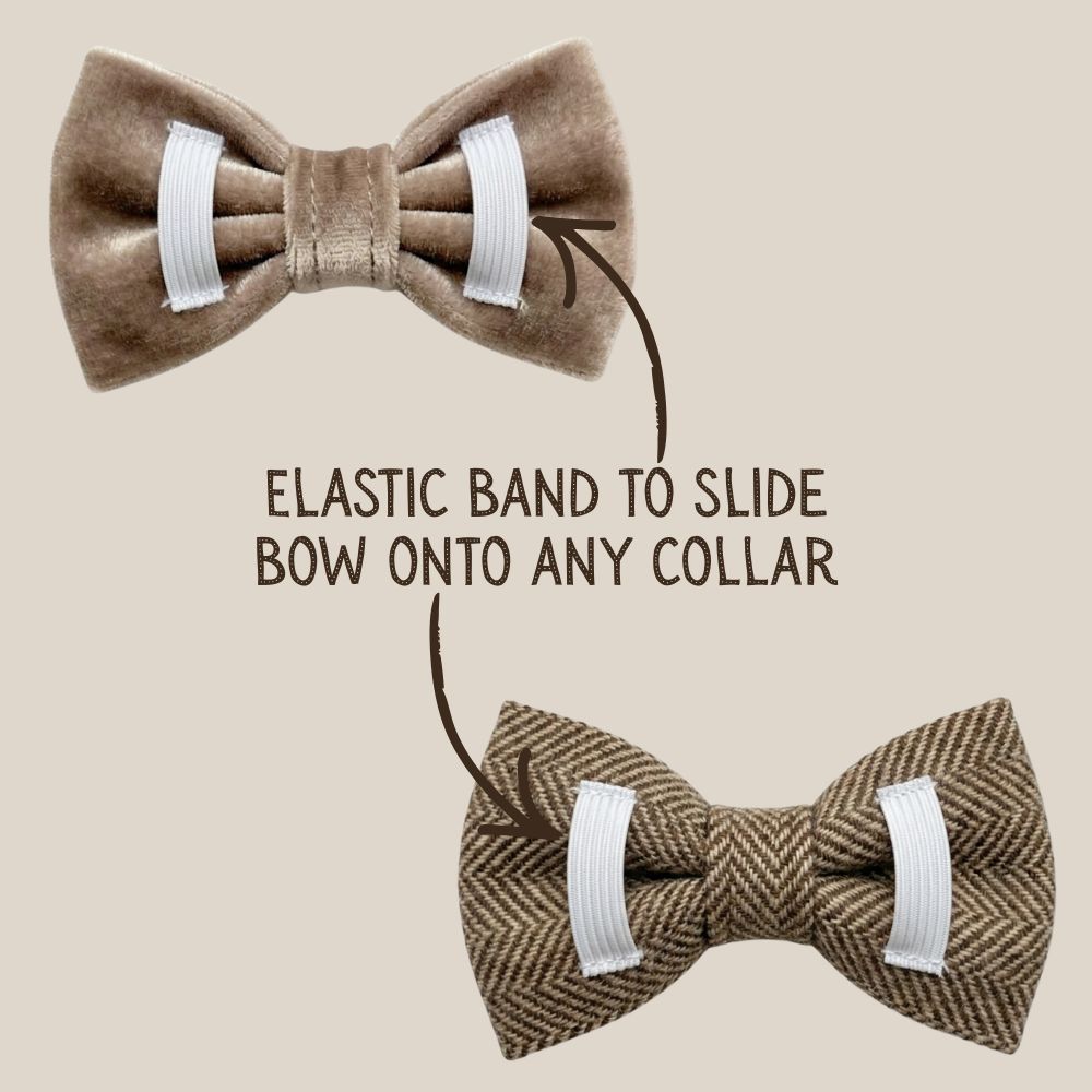 Brown Tweed and Velvet Bow Set