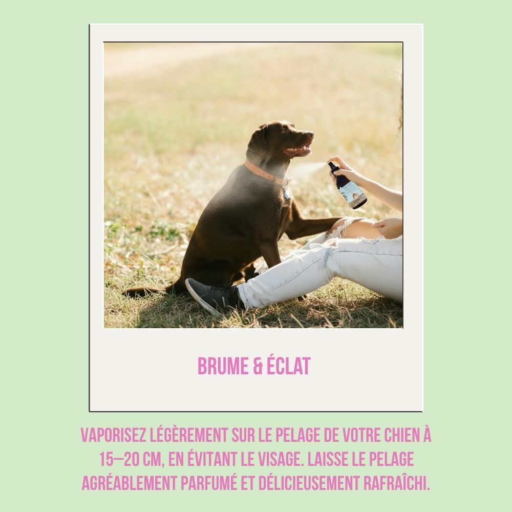 Eau de Cologne 100% naturelle pour chiens « Coco Bliss » 300ml