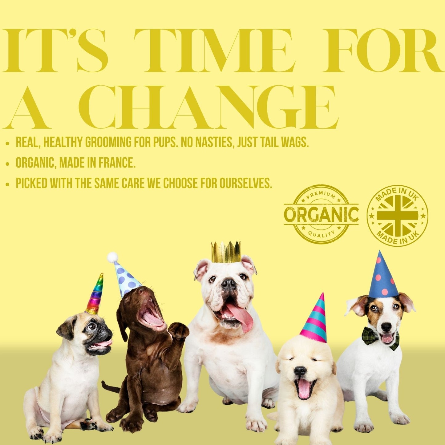 Organic Botanical Dog Balm