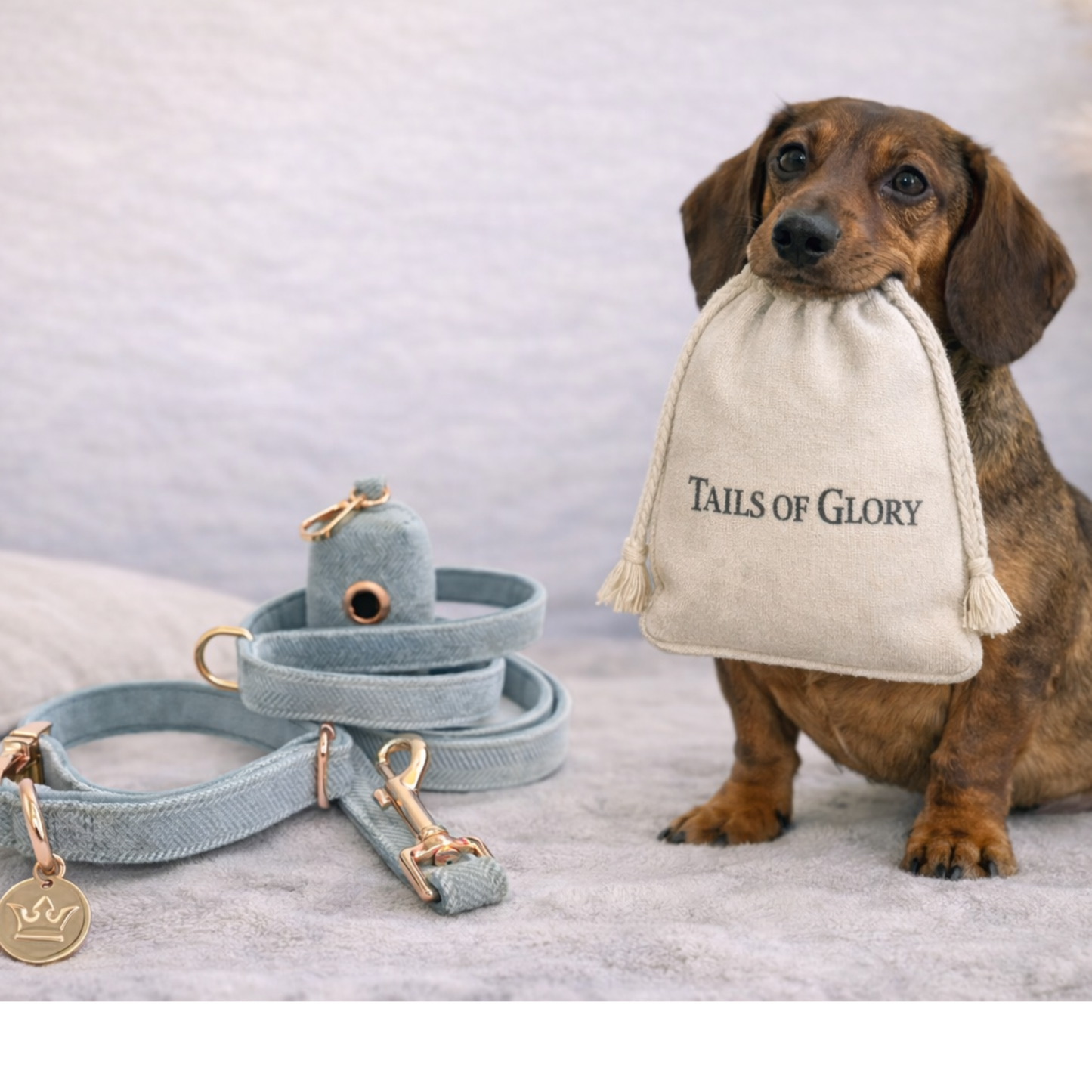 Dog Collar, Pouch and Lead Set - Blue Tweed & Velvet