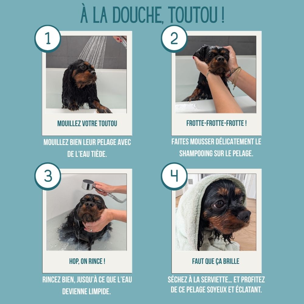 Shampoing pour chien à l'huile de graines de chanvre 100% naturelle et biologique 300 ml