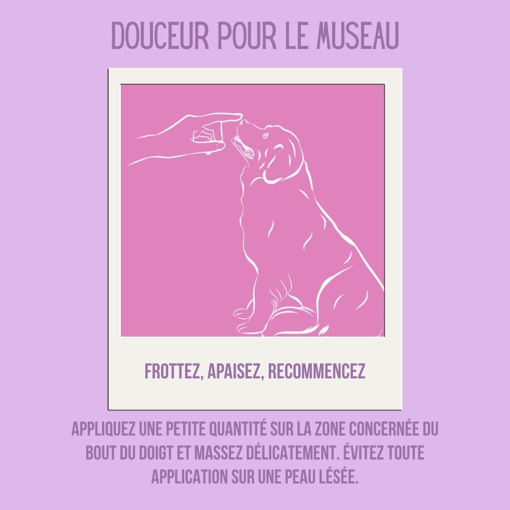 Baume botanique bio pour chiens au chanvre naturel 100ml
