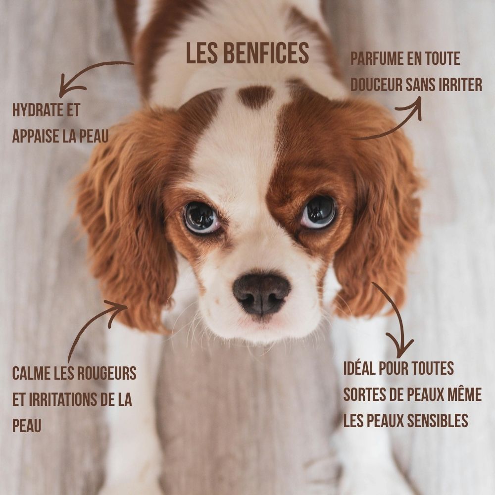 Eau de Cologne 100% naturelle pour chiens « Coco Bliss » 300ml