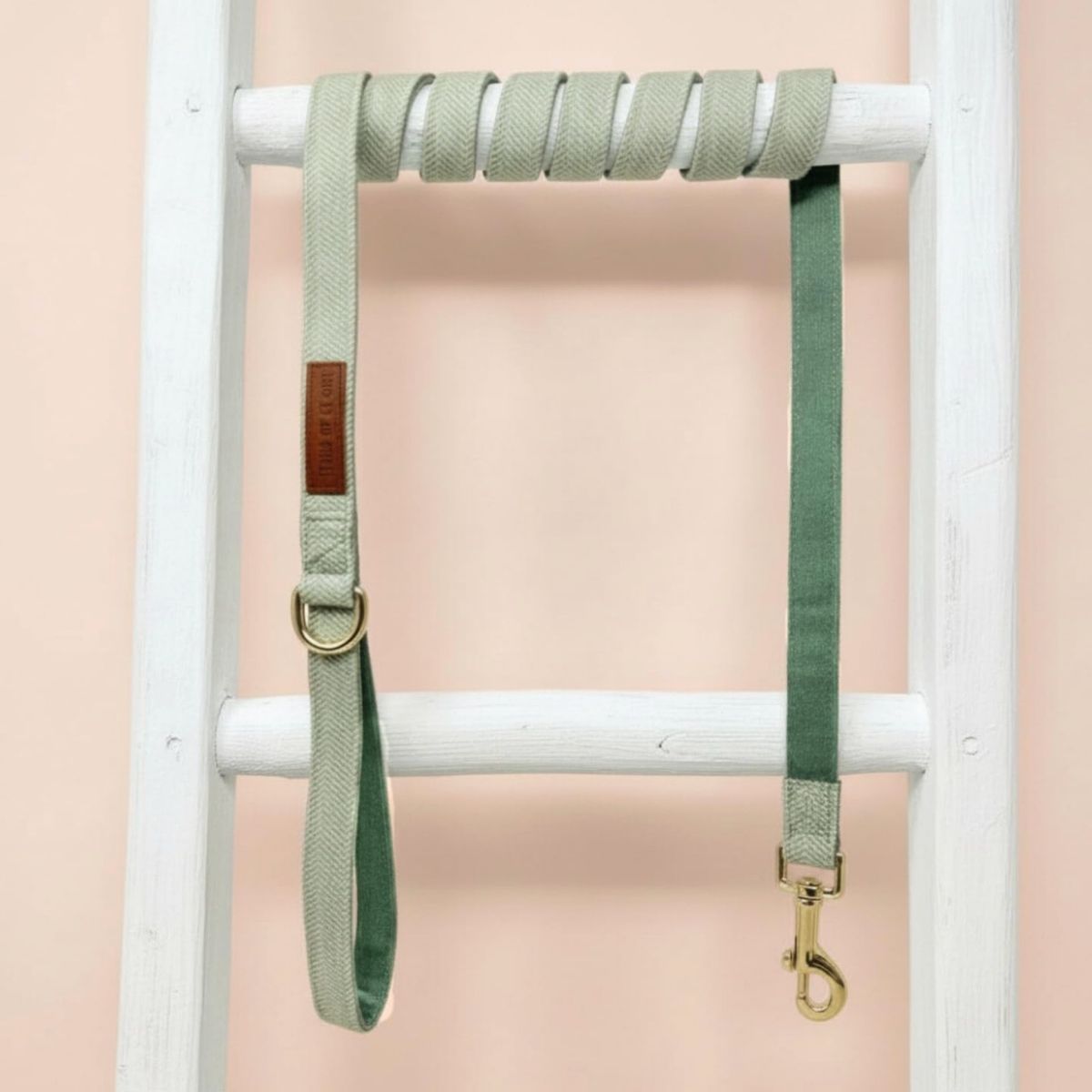 Ensemble Collier, Pochette et Laisse pour Chien - Tweed Vert et Velours