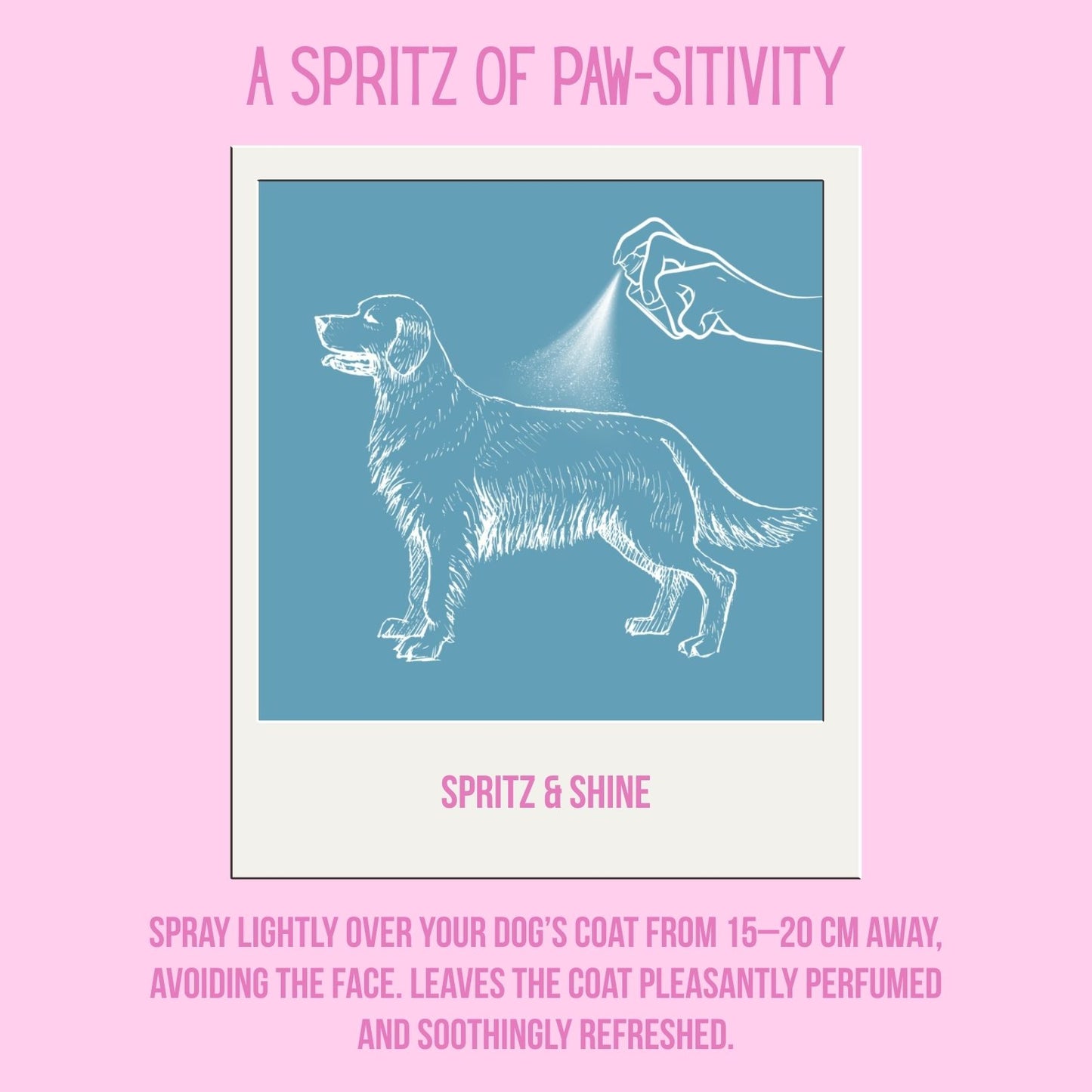 Organic Hemp 6-in-1 Dog Spray — Perfume, Bed Spray & Calm-Me Mist - 300ml