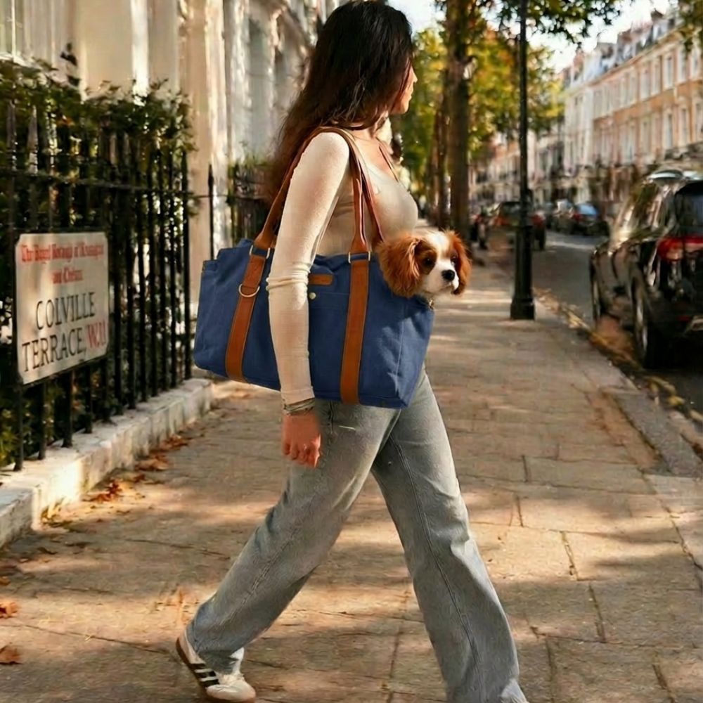 Stylish Dog Bag - Blue