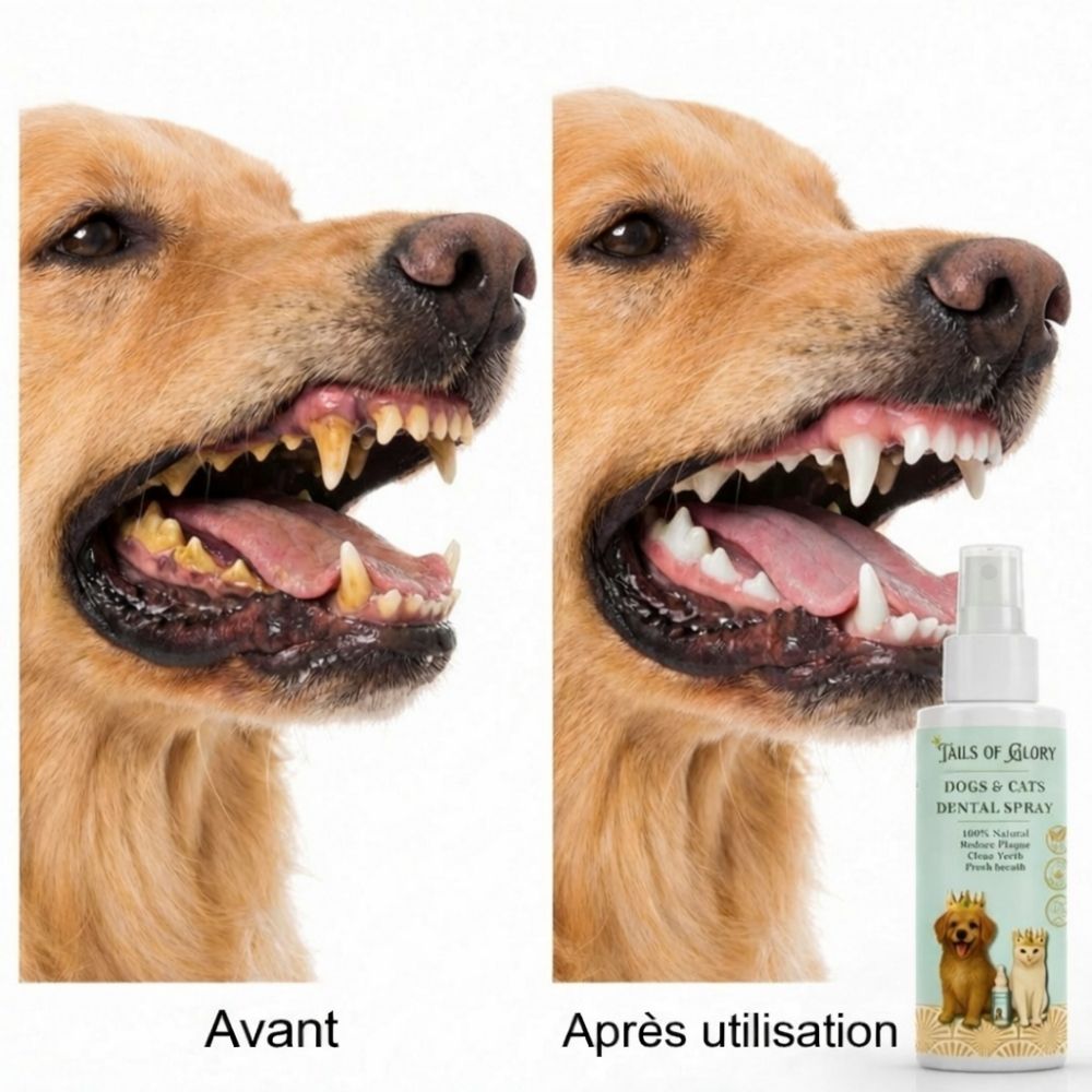 Spray dentaire naturel sans brossage pour chiens et chats 100ml