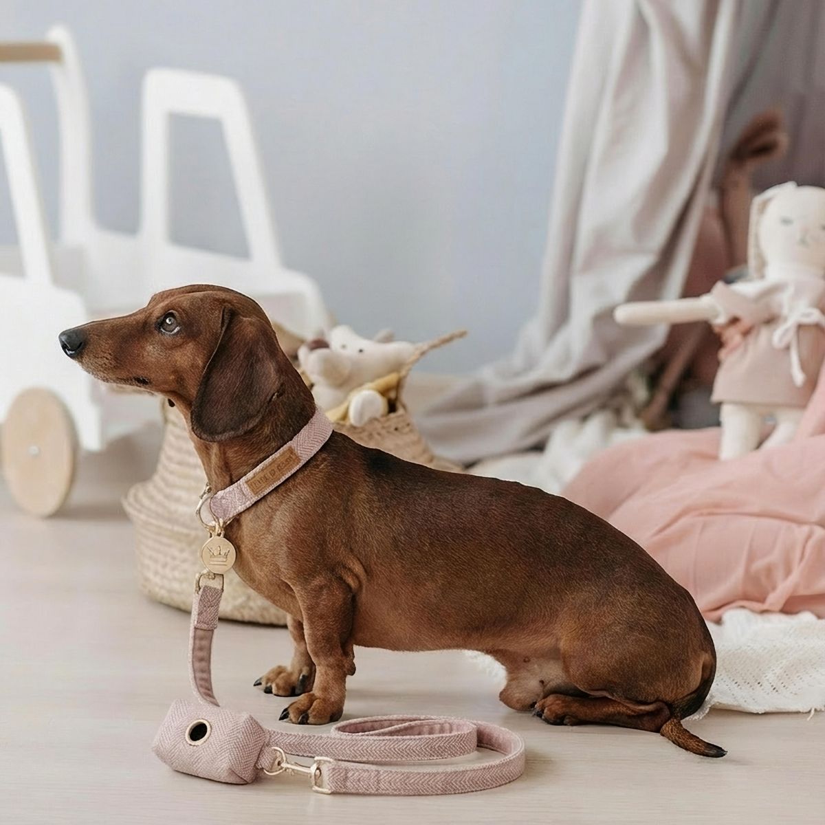 Ensemble Collier, Pochette et Laisse pour chien - Tweed Rose et Velours