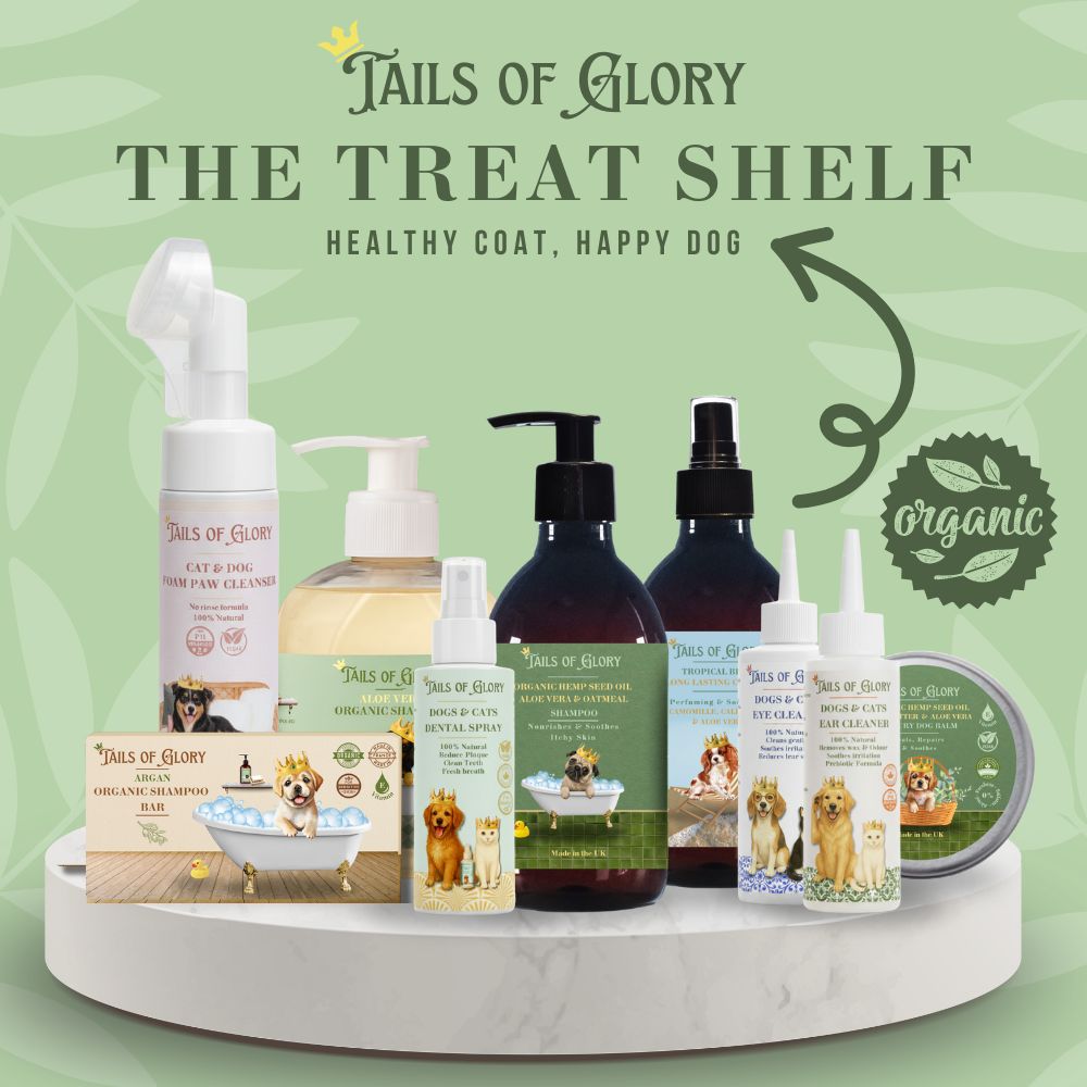 Dog & Cat No-Rinse Paw Cleaner - 200ml