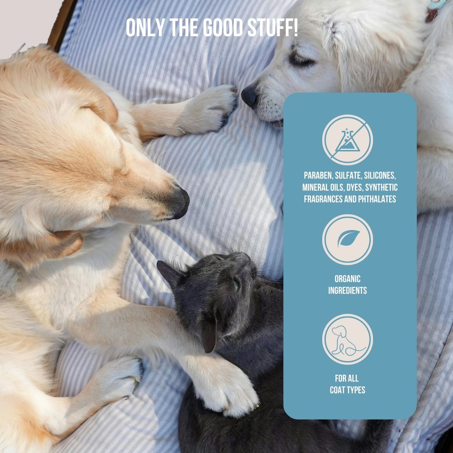 Organic Botanical Dog Balm