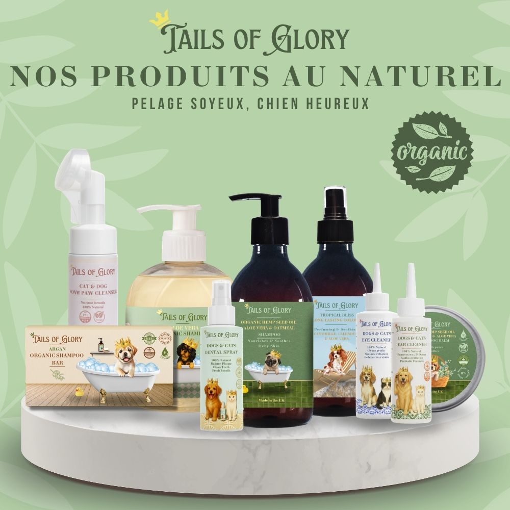 Spray dentaire naturel sans brossage pour chiens et chats 100ml