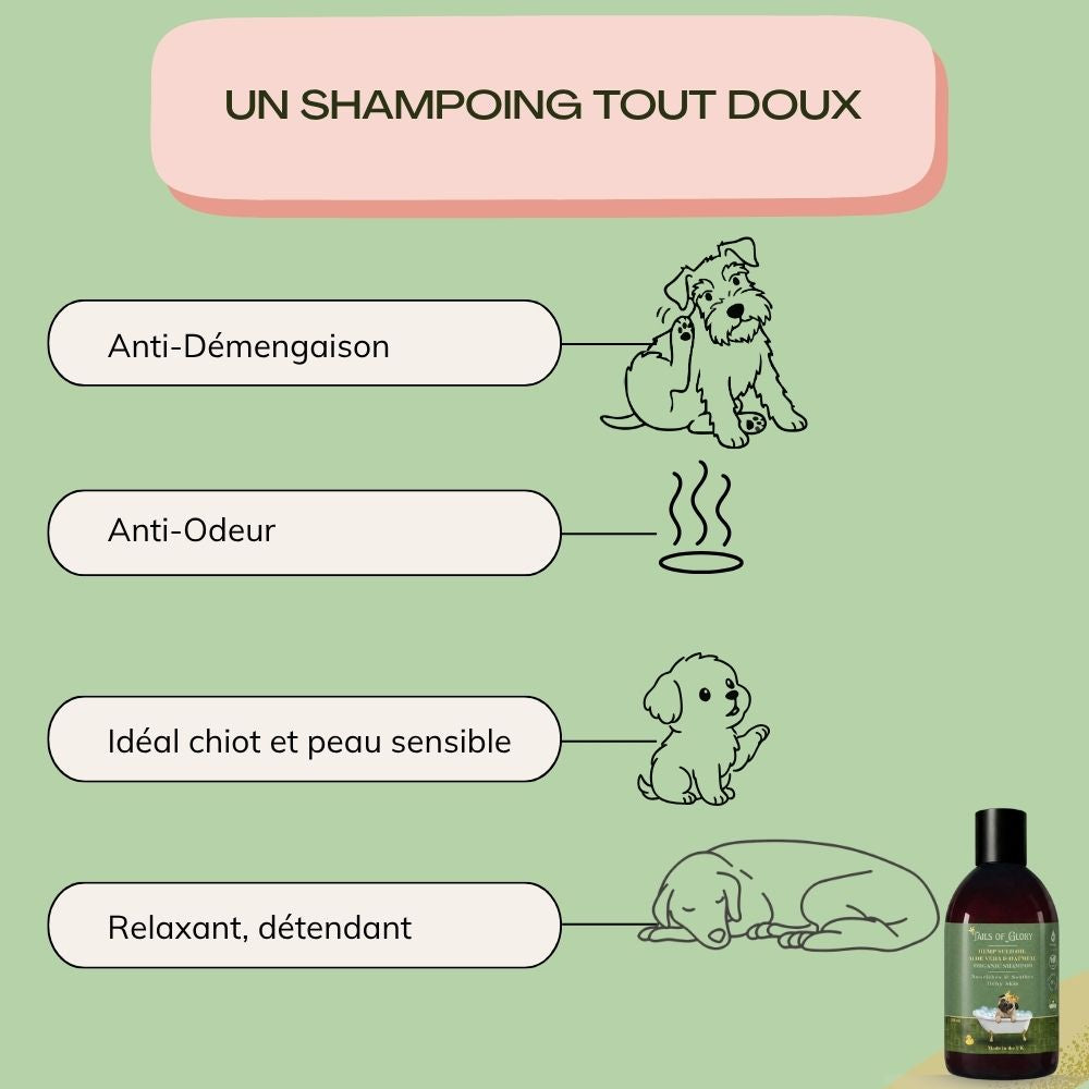 Trio apaisant, hydratant et brillant au chanvre