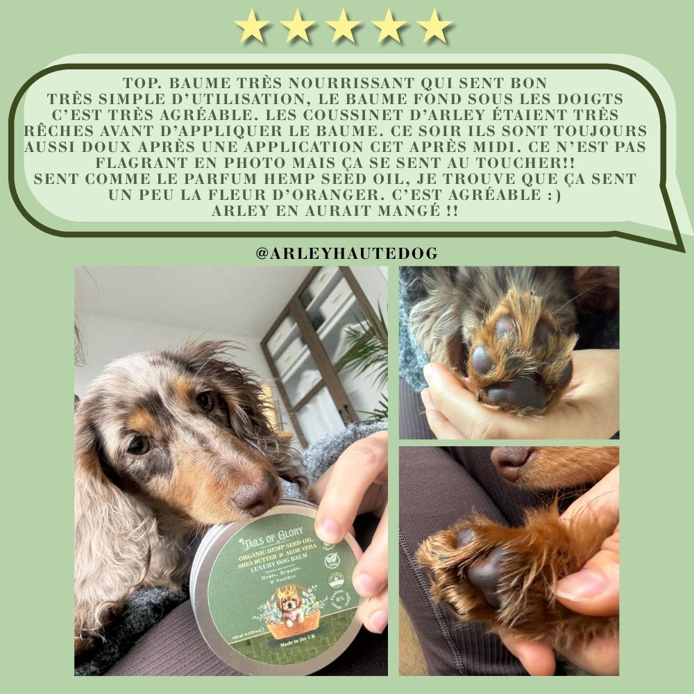 Baume botanique bio pour chiens au chanvre naturel 100ml