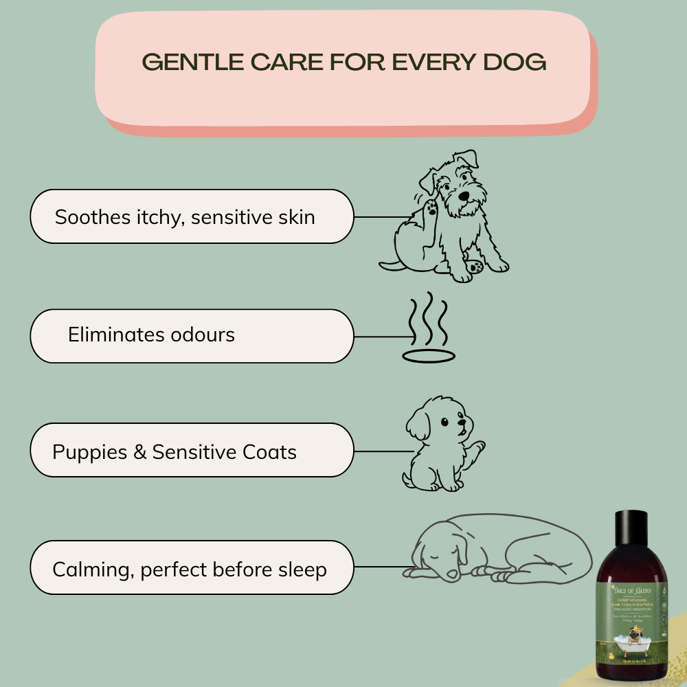 All Natural & Organic Hemp Seed Oil Dog Shampoo 300 ml