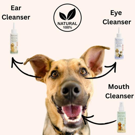 Dog Eye, Ear & Mouth Cleaning Starter Pack