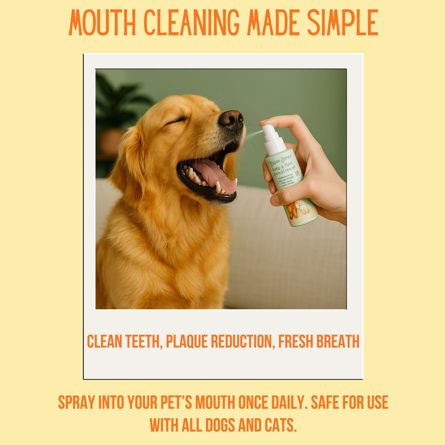 Dog Eye, Ear & Mouth Cleaning Starter Pack