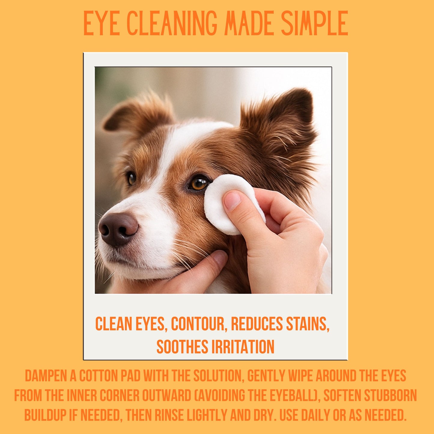 Dog Eye, Ear & Mouth Cleaning Starter Pack