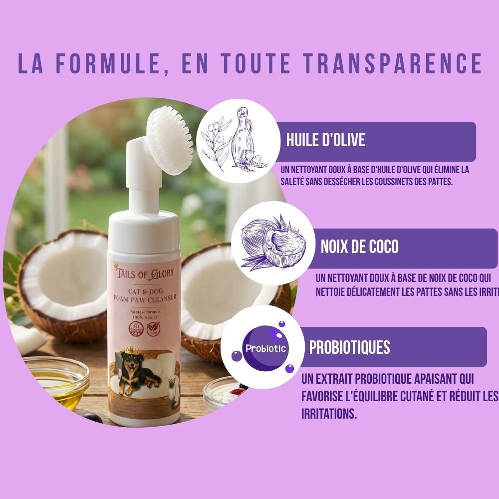 Nettoyant pour pattes sans rinçage pour chiens et chats - 200 ml 