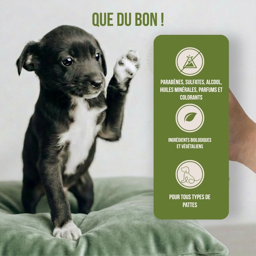 Nettoyant pour pattes sans rinçage pour chiens et chats - 200 ml 