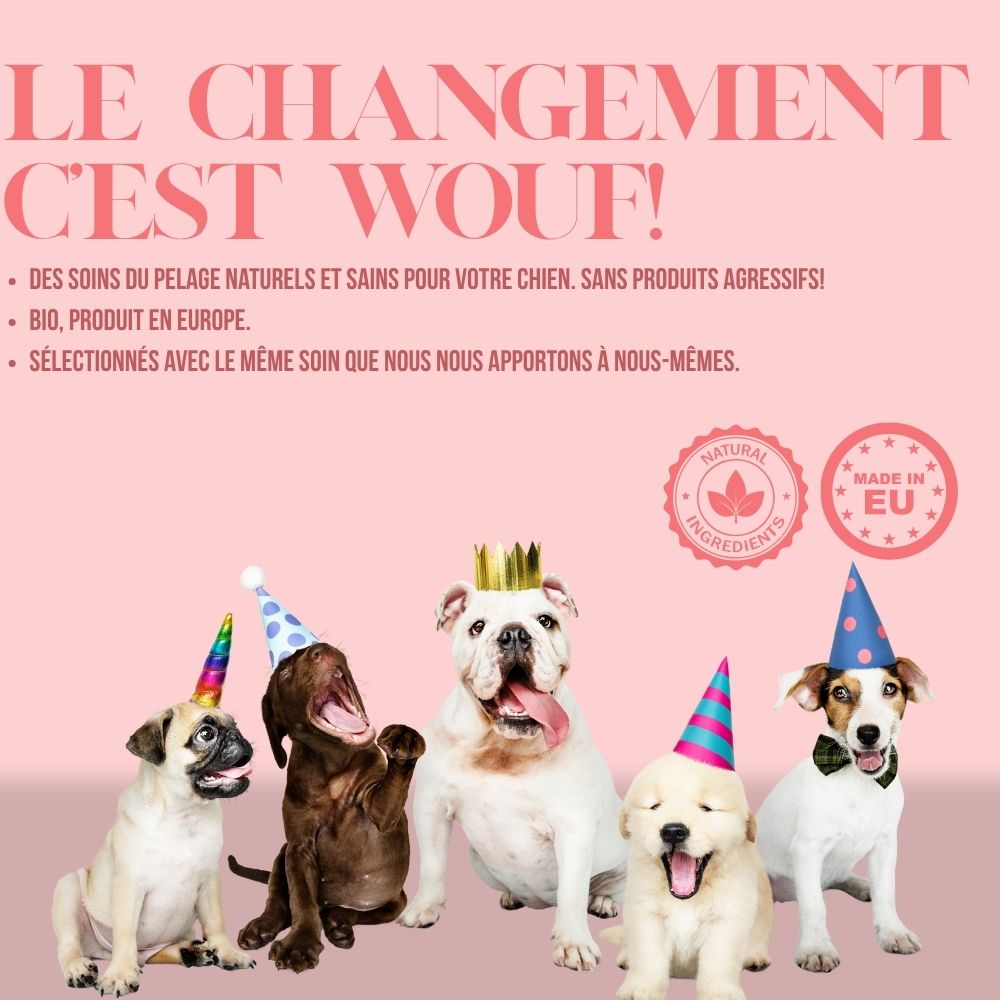 Nettoyant pour pattes sans rinçage pour chiens et chats - 200 ml 