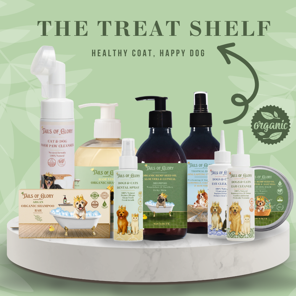 Organic Botanical Dog Balm