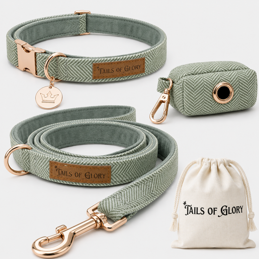 Dog Collar, Pouch and Lead Set - Green Tweed & Velvet