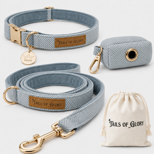 Dog Collar, Pouch and Lead Set - Blue Tweed & Velvet