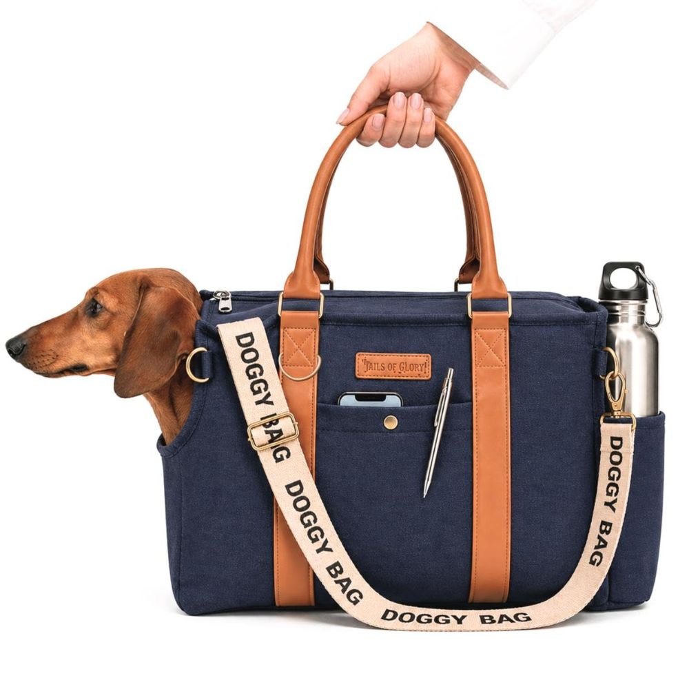 Doggy Bag - Bleu