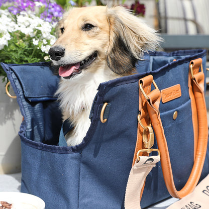 Dog Carrier Bag - Urban Travel Bag for Small Dogs  - Blue