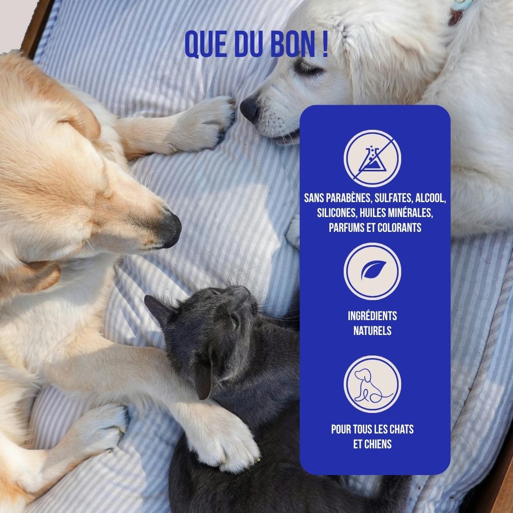 Spray dentaire naturel sans brossage pour chiens et chats 100ml