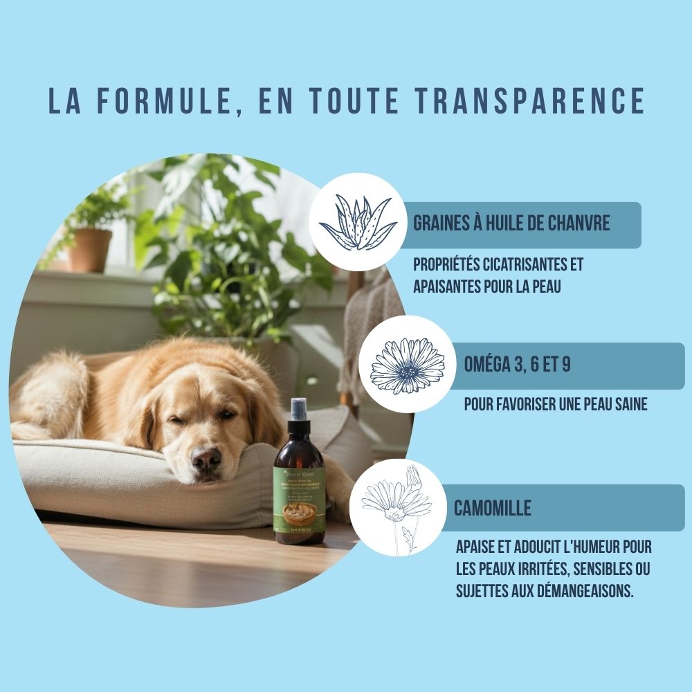 Trio apaisant, hydratant et brillant au chanvre