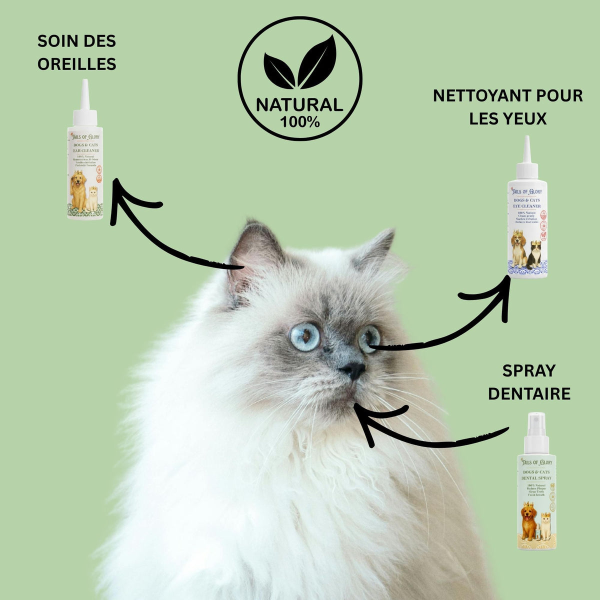 Kit de soin yeux, oreilles et bouche 