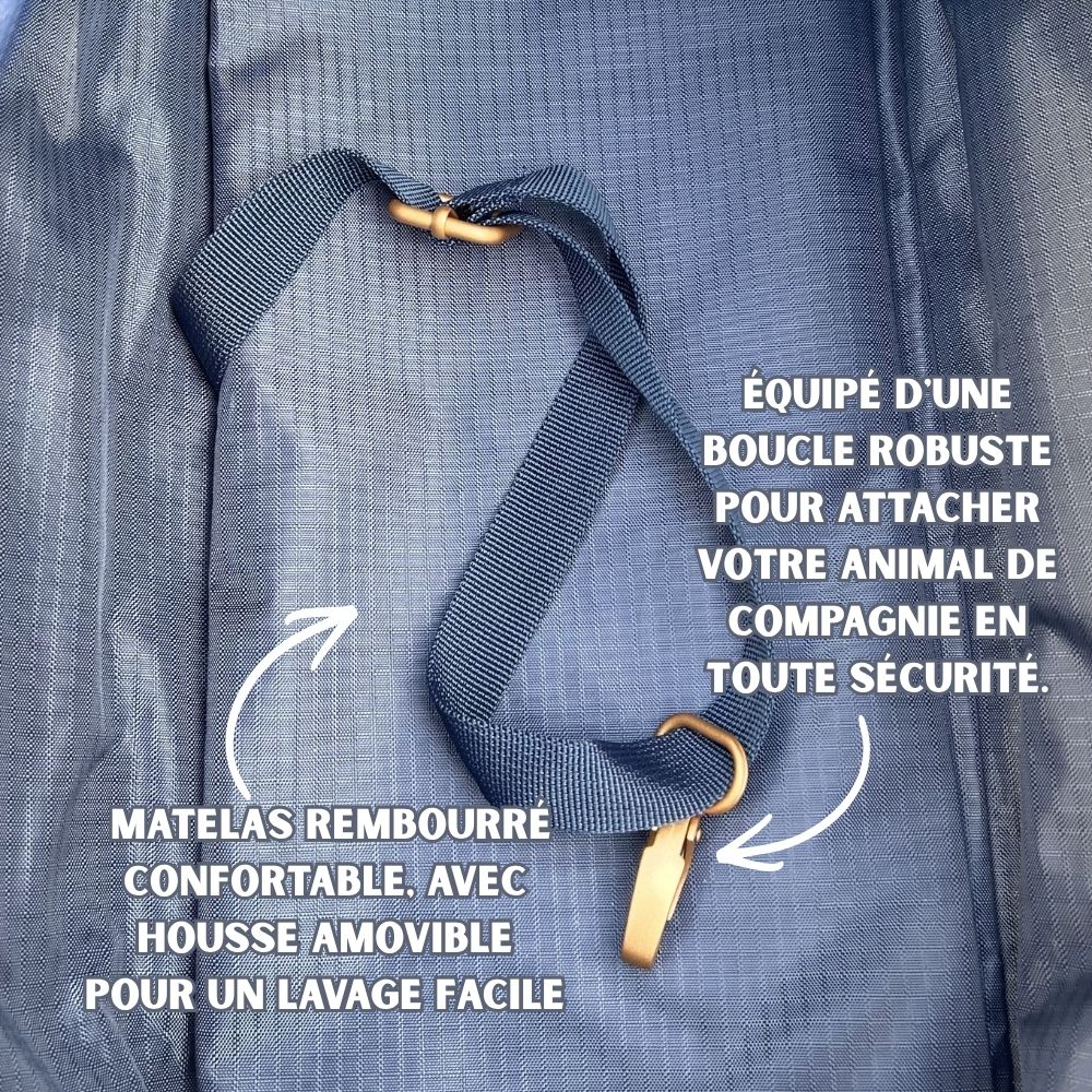 Doggy Bag - Bleu