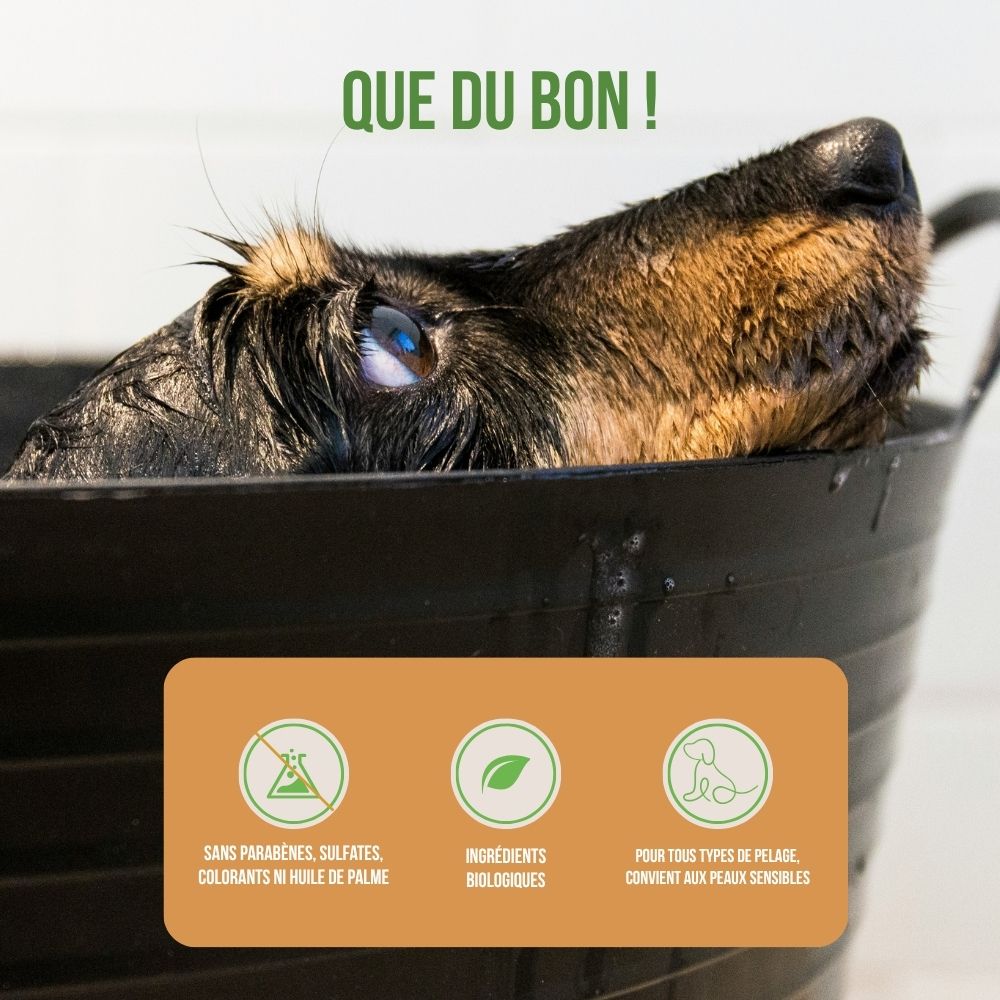 Shampoing solide bio à l'huile d'argan pour animaux - 100 g