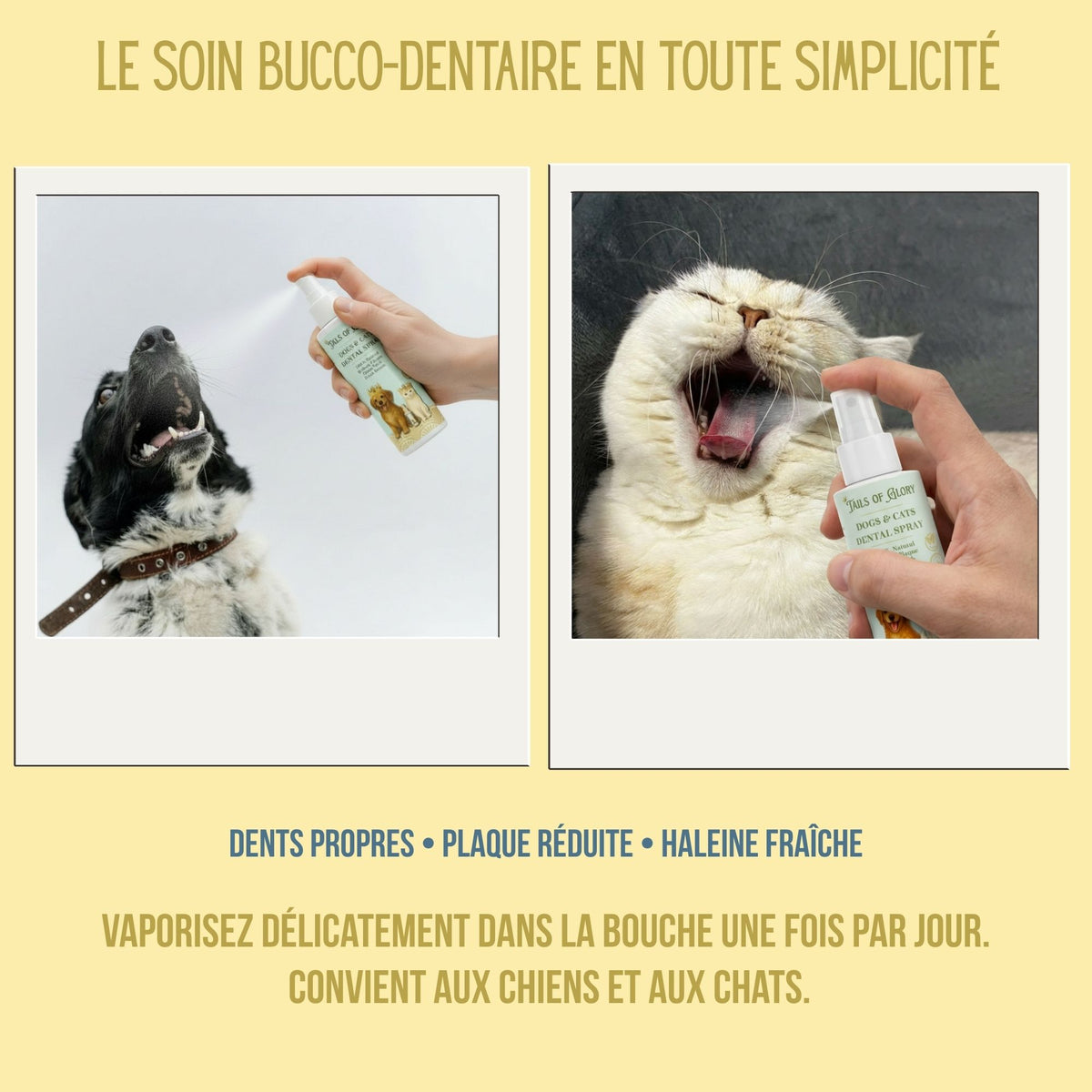 Kit de soin yeux, oreilles et bouche 