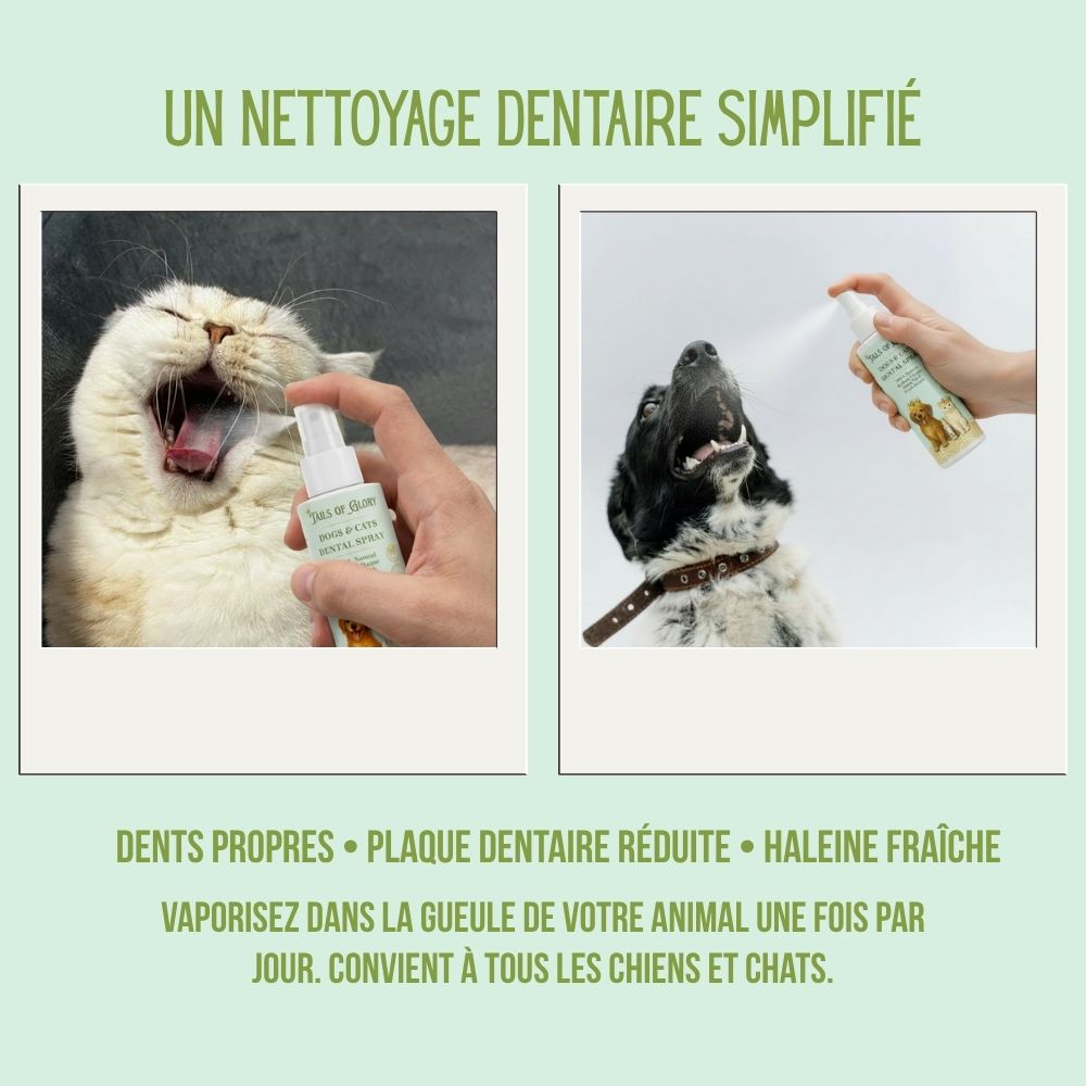 Spray dentaire naturel sans brossage pour chiens et chats 100ml